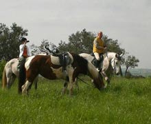 Maneggio Abruzzo