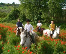 Maneggio con passeggiate a cavallo Alba Adriatica