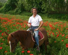 Cavalli Abruzzo - Passeggiate a cavallo