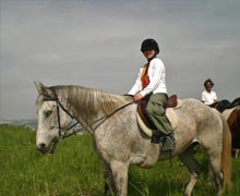 Maneggio con passeggiate a cavallo Alba Adriatica