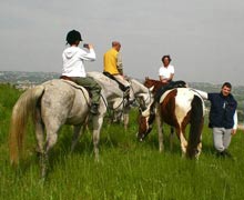Cavalli Abruzzo - Passeggiate a cavallo