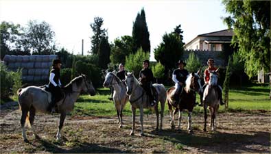 Equitazione Val Vibrata - Alba Adriatica