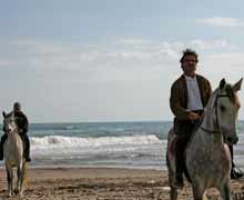 Maneggio con passeggiate a cavallo Alba Adriatica