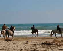 Cavalli Abruzzo - Passeggiate a cavallo