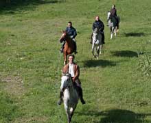 Cavalli Abruzzo e passeggiate a cavallo